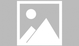 91在线直播福利,畅享视听盛宴，尽享独家特权